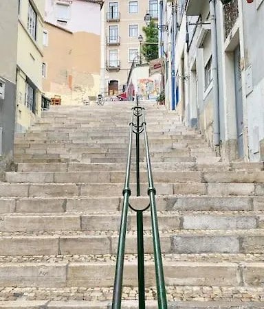 Surradores 33046 Al * Lisbona